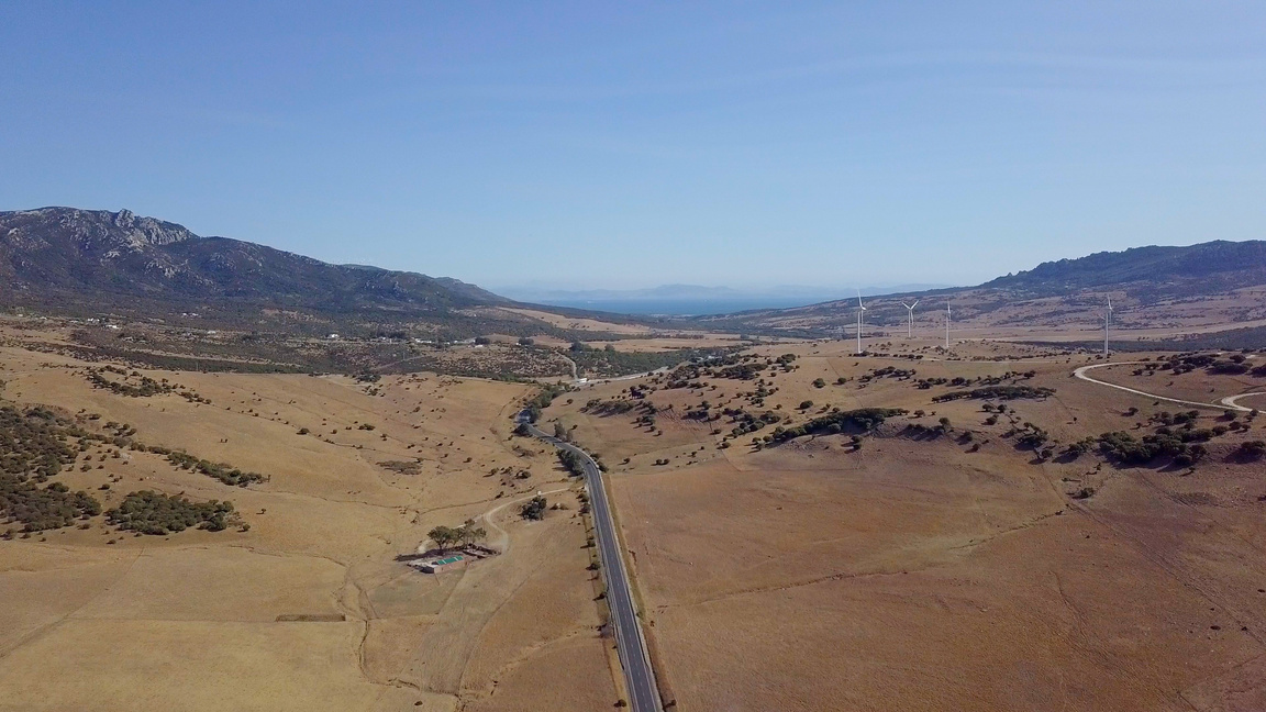 Remote Area with Industrial Plantation